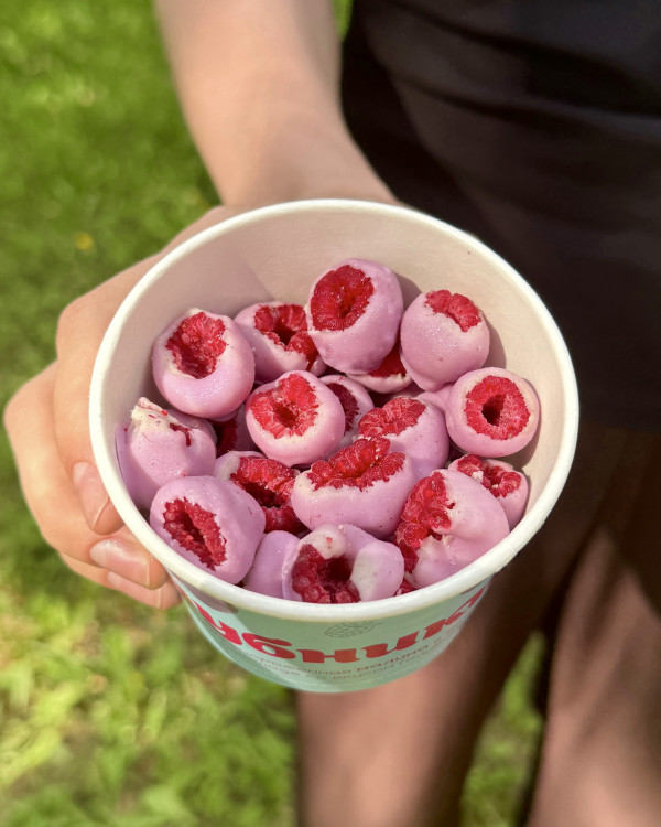 Малина в шоколаде со вкусом голубики, свежемороженая, 130 гр
